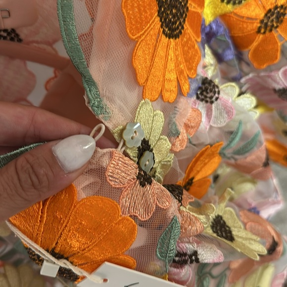 For Love & Lemons Floral Embroidered Sheer Mini Dress in Pastel Multi - Picture 10 of 11